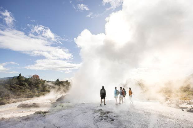 Picture of Te Puia geyser in Rotorua