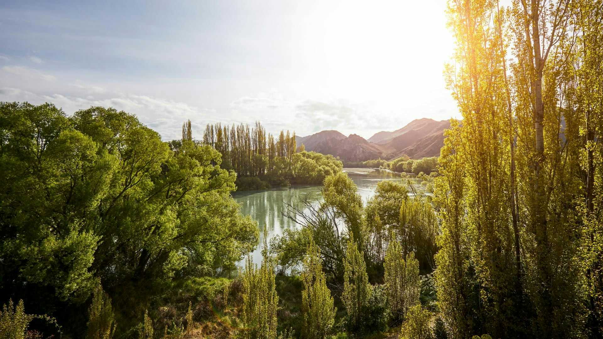 View of a river in Alexandra in New Zealand