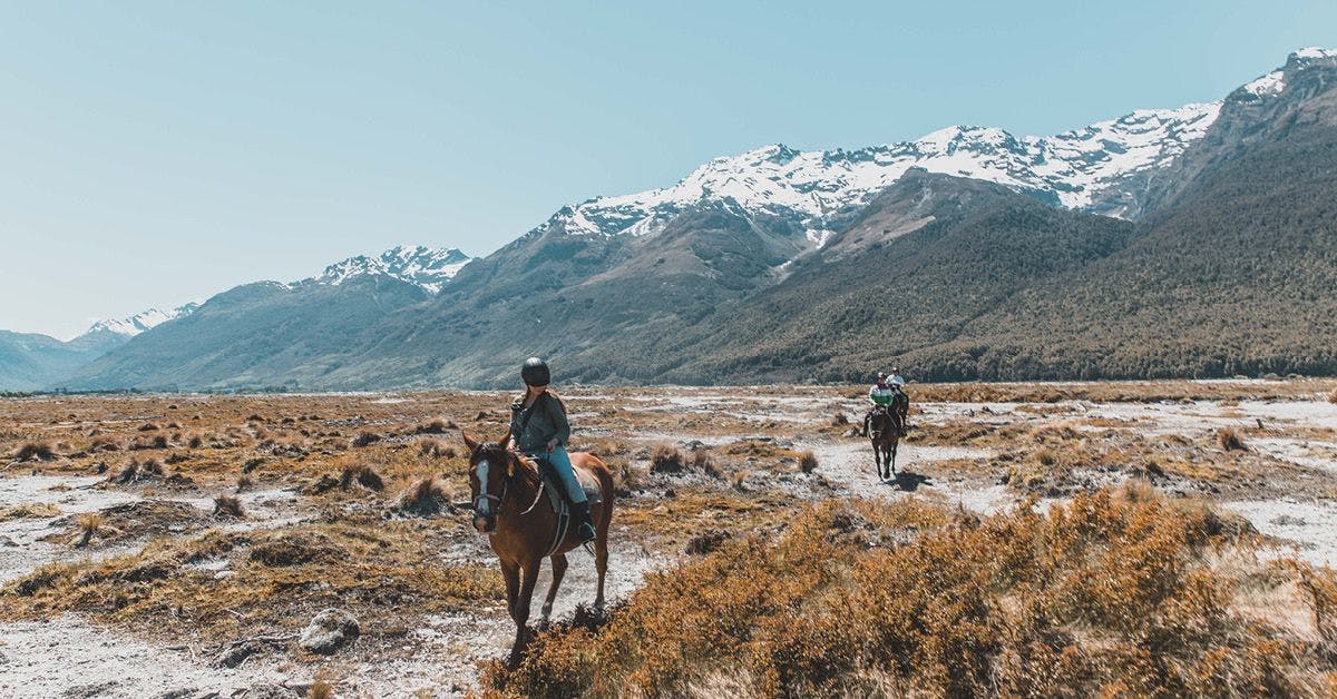 Two people horse riding in New Zealand
