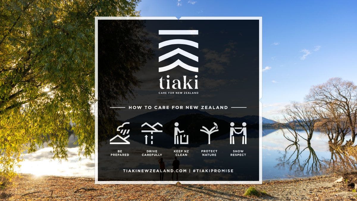 The Tiaki Promise chart