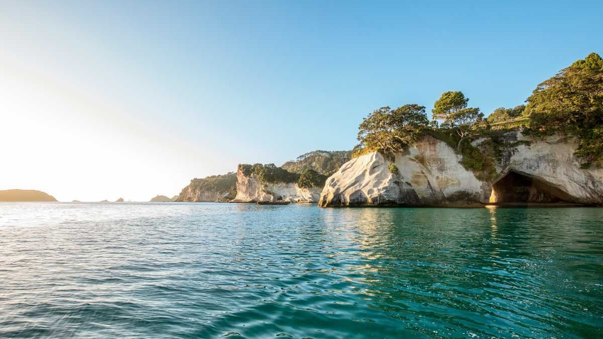 Clear blue water in the Coromandel