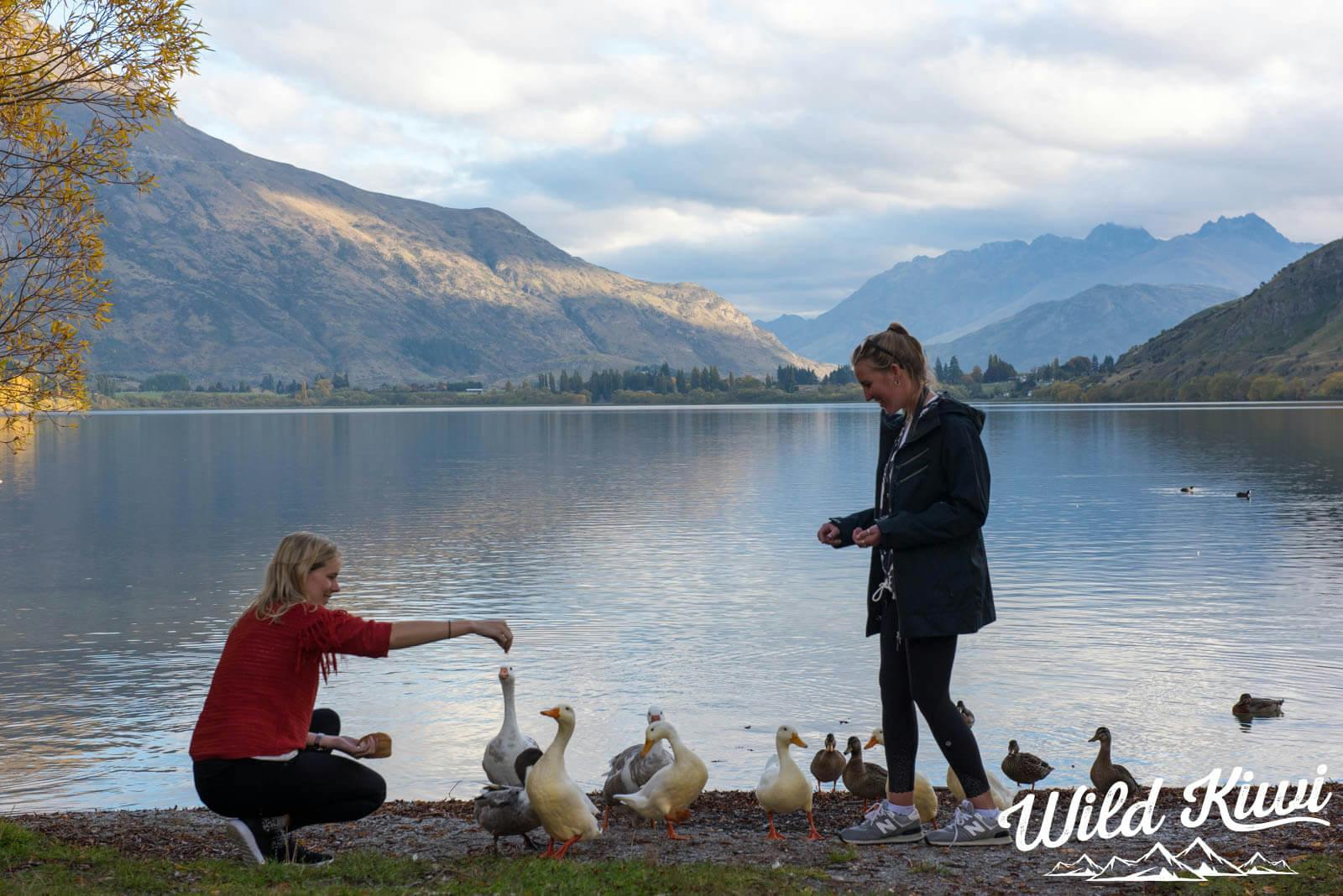 A New Zealand holiday like no other - Plan your road trip today