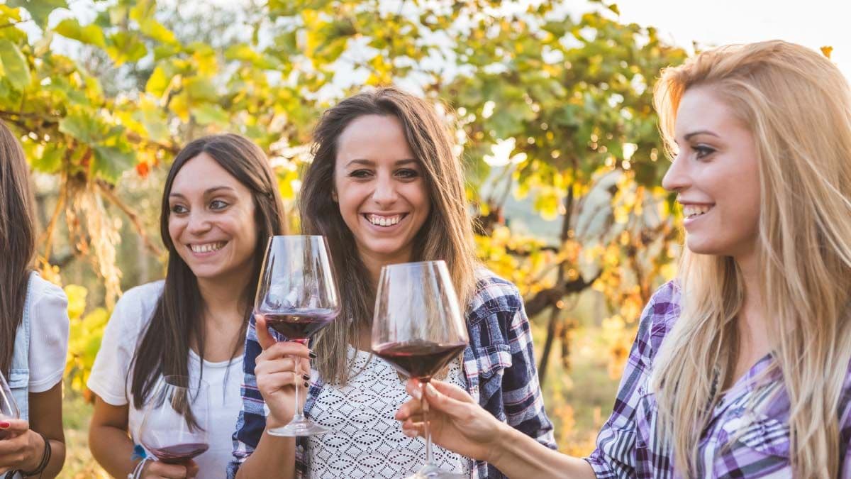 Friends tasting wine in Marlborough