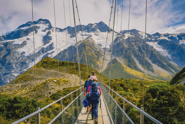 Wild-Kiwi-New-Zealand-Eco-Friendly-Environment-Travel-Bush-Walk-Bridge