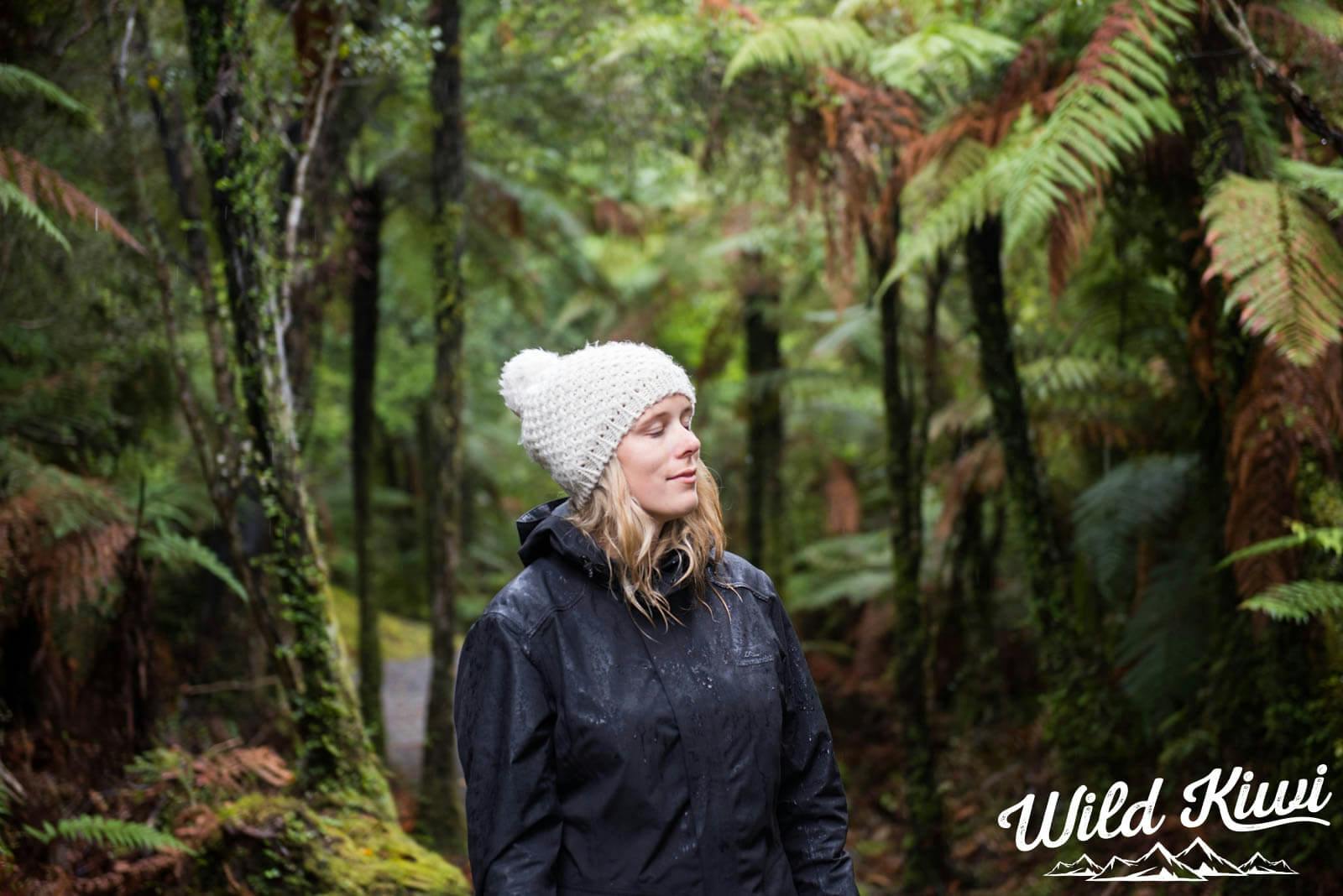 Travel to amazing parts of New Zealand - See the wild woods up close