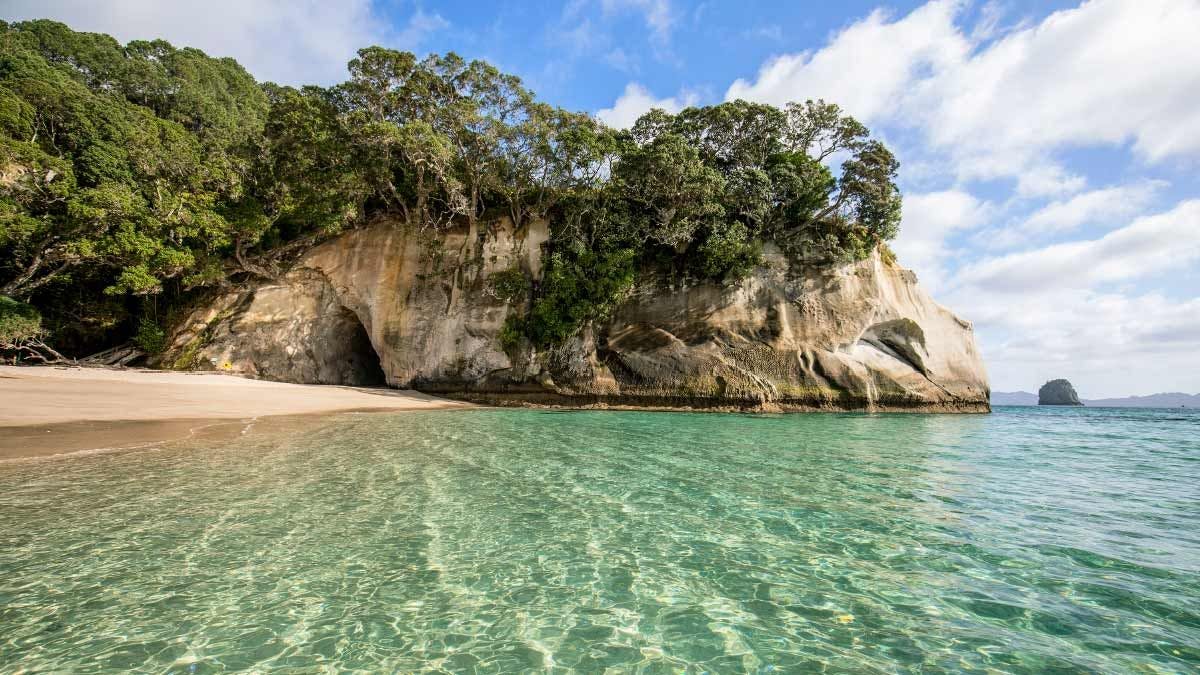 Clear blue water at Cathedral Cove in New Zealand