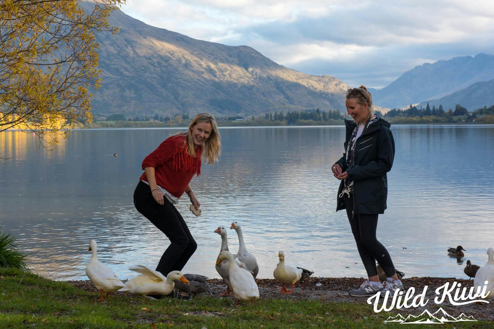 Head to New Zealand on a Wild Kiwi tour - Now is the time to travel!