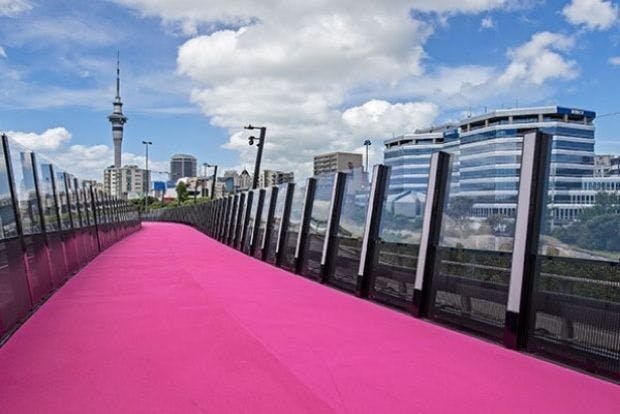 Pink Lightpath in Auckland