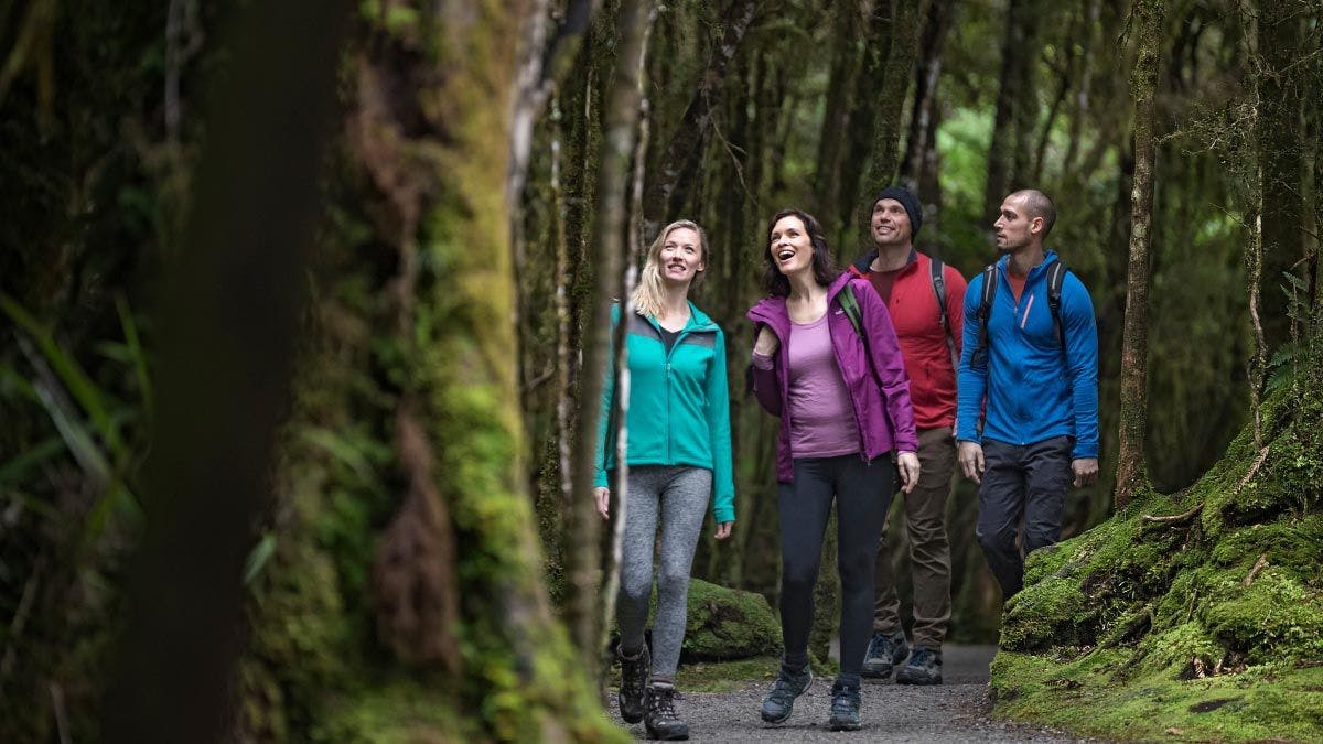 Group of friends walking in the bush in New Zealand