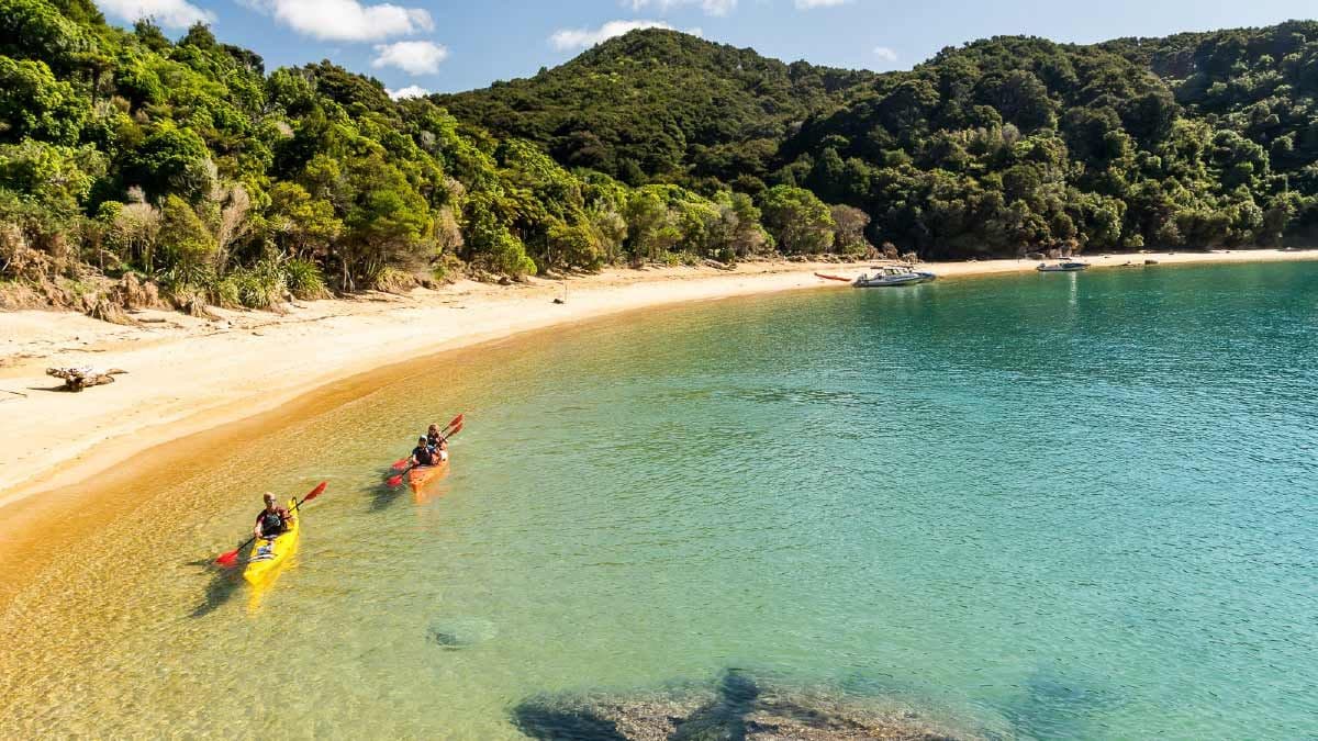 Two kayakers in Abel Tasman National Park