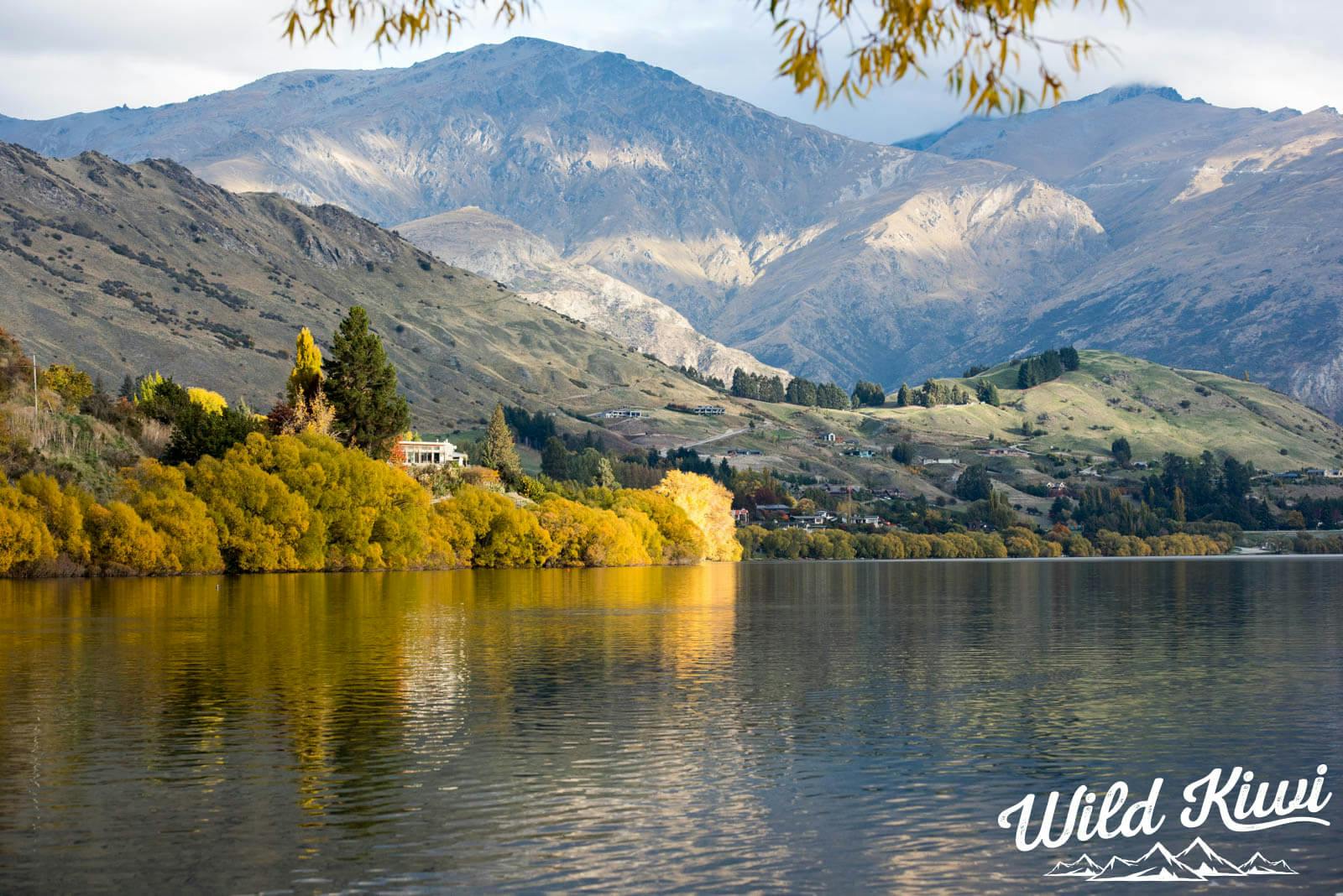 Tours of New Zealand - Check out the natural sights